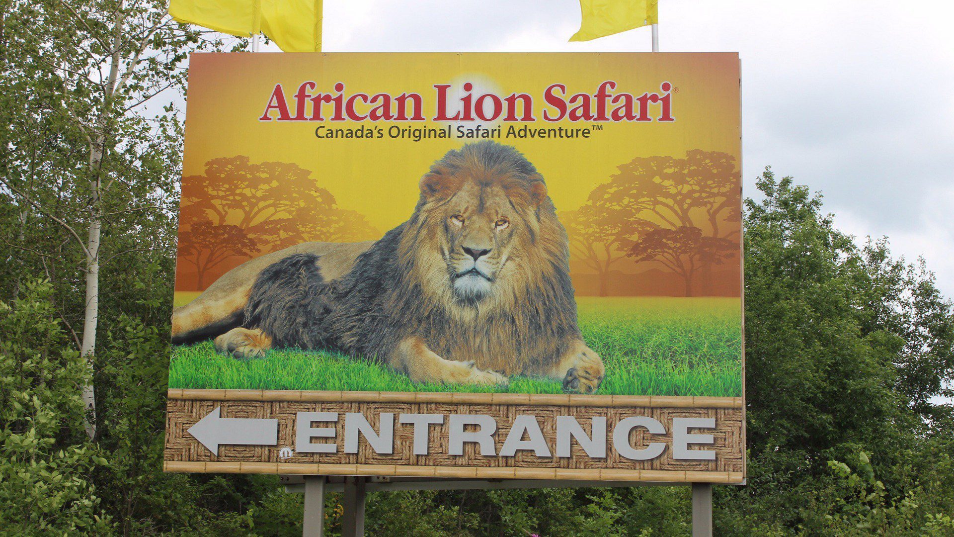 african lion safari entrance