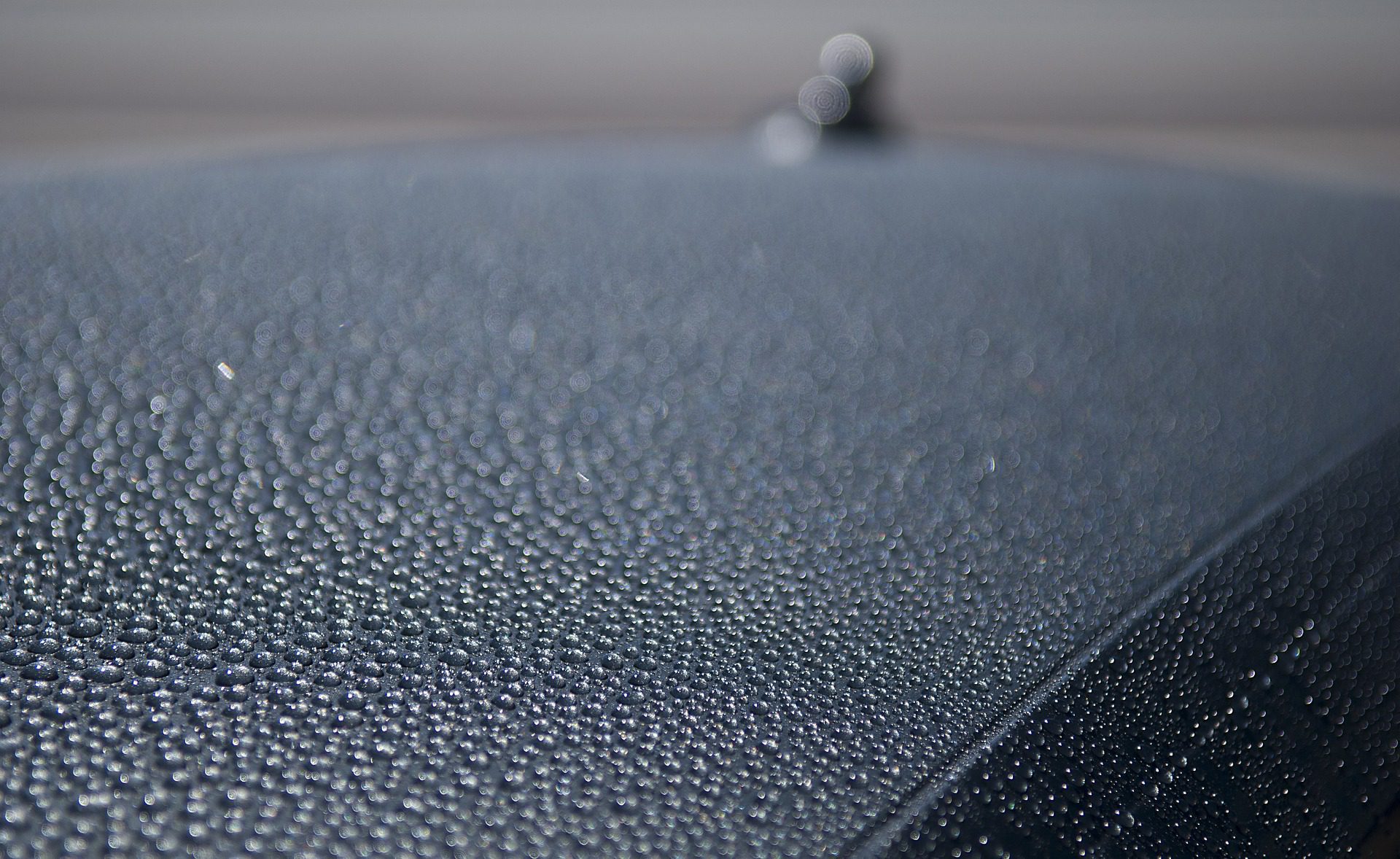 waxed car surface