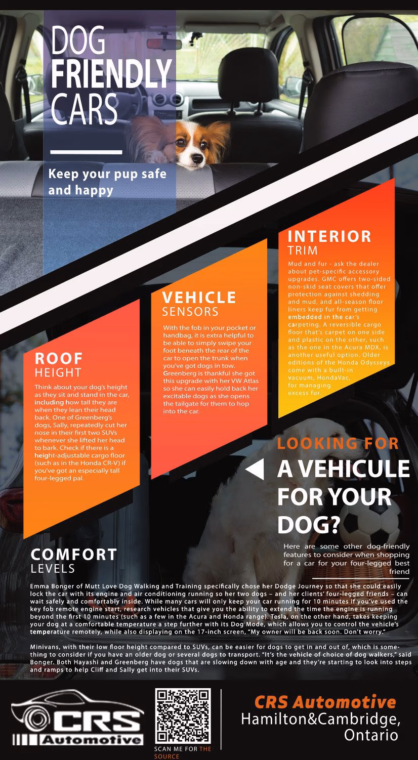 Dog Friendly Cars Features CRS Automotive Hamilton